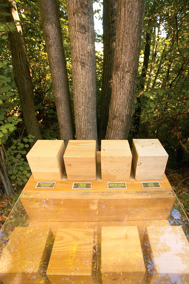Cubi di legno vario