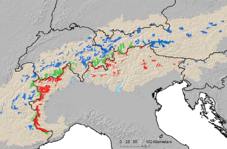 Distribuzione dello stambecco nelle Alpi