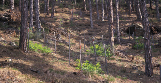 Campo di attività 