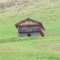 Associazioni agrarie