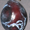 Malattia Sharka (Vaiolatura delle drupacee)