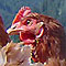 Influenza aviare