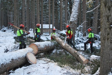 Scuola forestale Latemar-lavoro sicuro sugli schianto da vento
