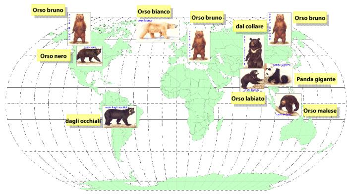 La distribuzione degli orsi nel mondo