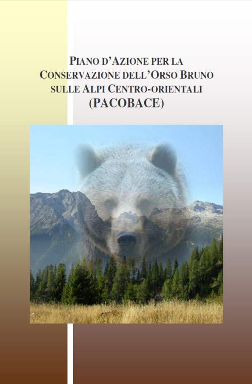 Cover Piano d'azione interregionale per la conservazione dell'orso bruno nelle alpi centro-orientali