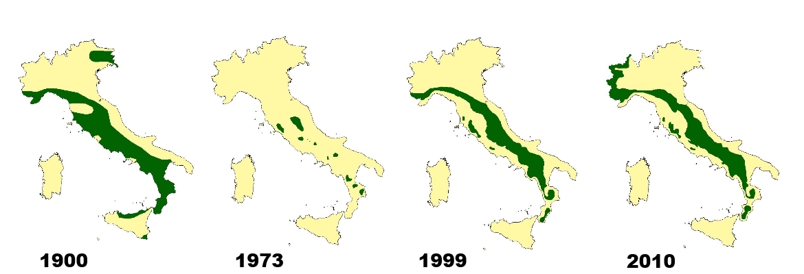 Mappa declino e riaffermazione del lupo in Italia