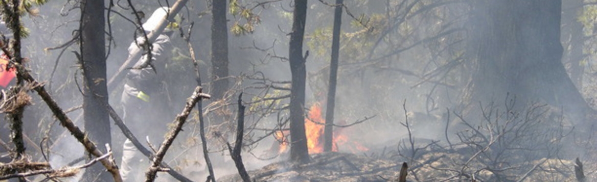Rimborso spese per lo spegnimento di incendi boschivi Rimborso spese per lo spegnimento di incendi boschivi