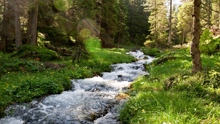 Tutela dell’acqua e del suolo