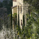 Mandorli in fiore a Castel Trauttmansdorff.