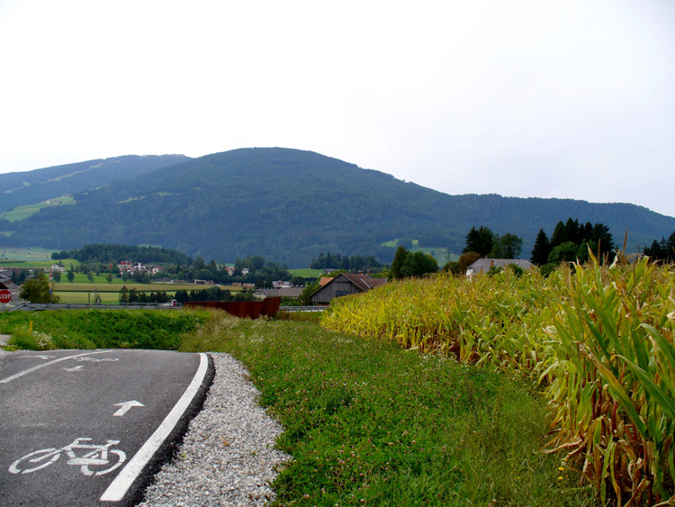 Disciplina delle piste ciclabili