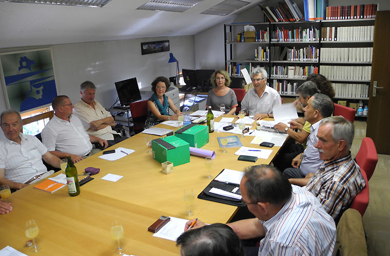 Organizzazione e struttura Organizzazione e struttura