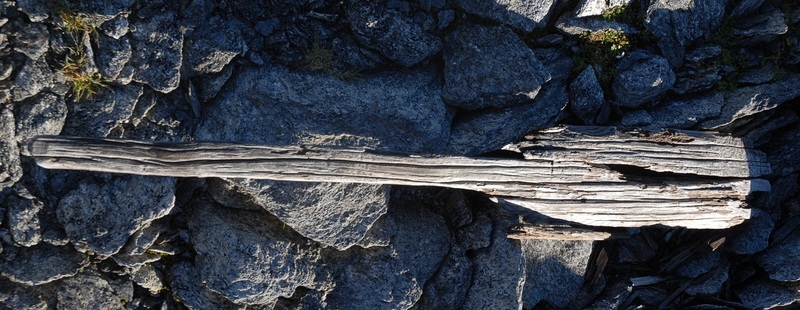 Gurgler Eisjoch - Val di Fosse: Oggetto in legno dell'età del Ferro