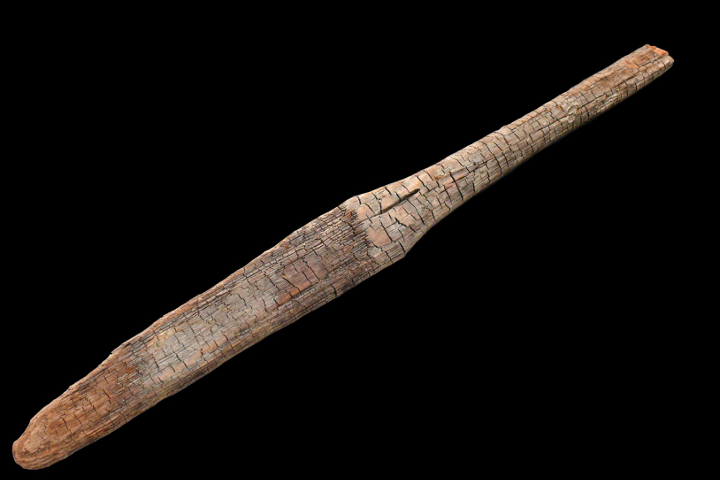Falzes: Attrezzo in legno della prima età del Ferro. Lunghezza 67 cm (IX/VIII secolo a.C.)