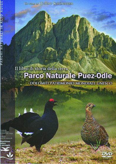 PARCHI NATURALI. PUEZ - ODLE. Il libro di storia della terra