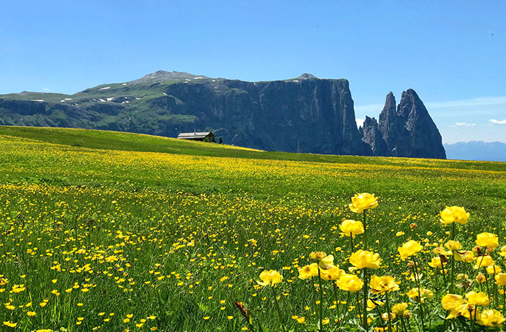 Alto Adige nei documentari