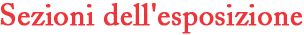 Sezione dell'esposizione