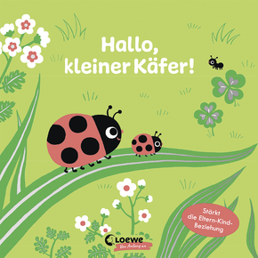 Hallo kleiner Käfer