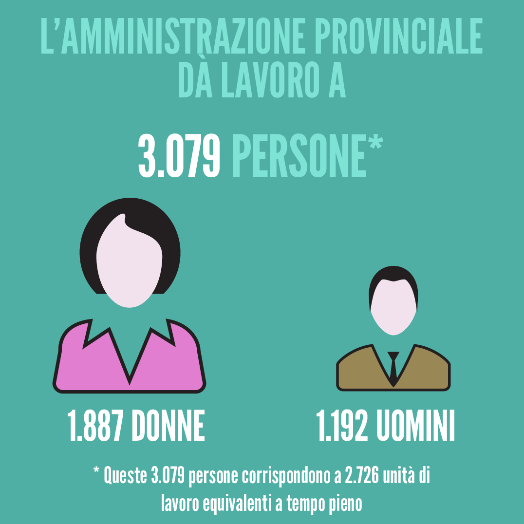 infografica sul personale