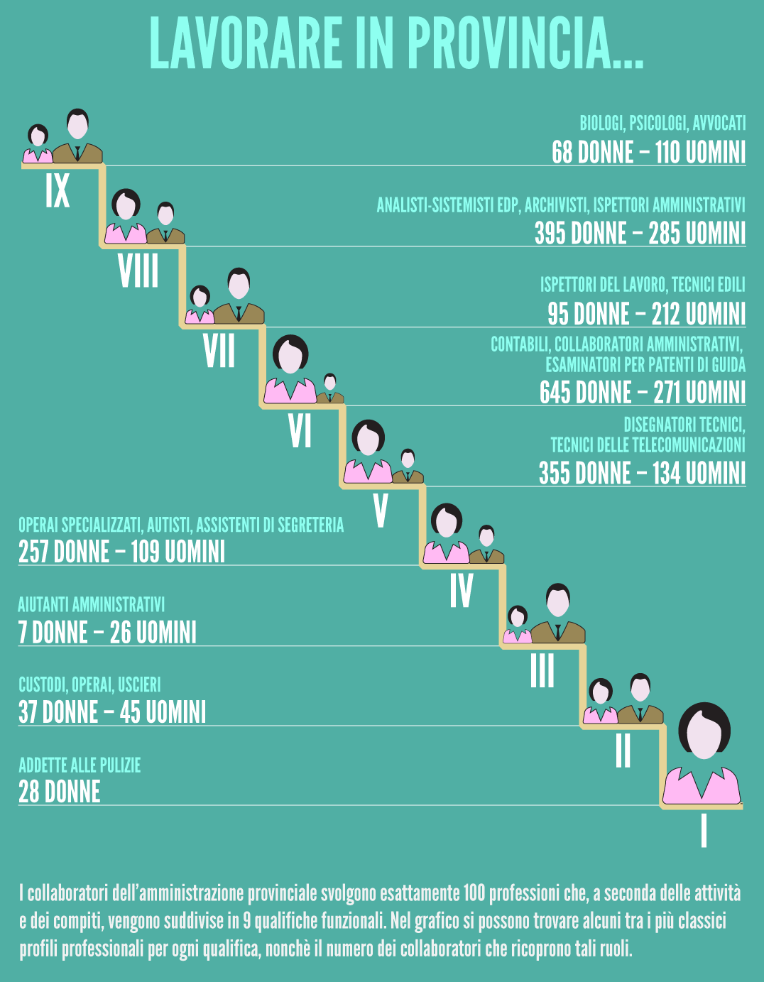 infografica sulle qualifiche funzionali