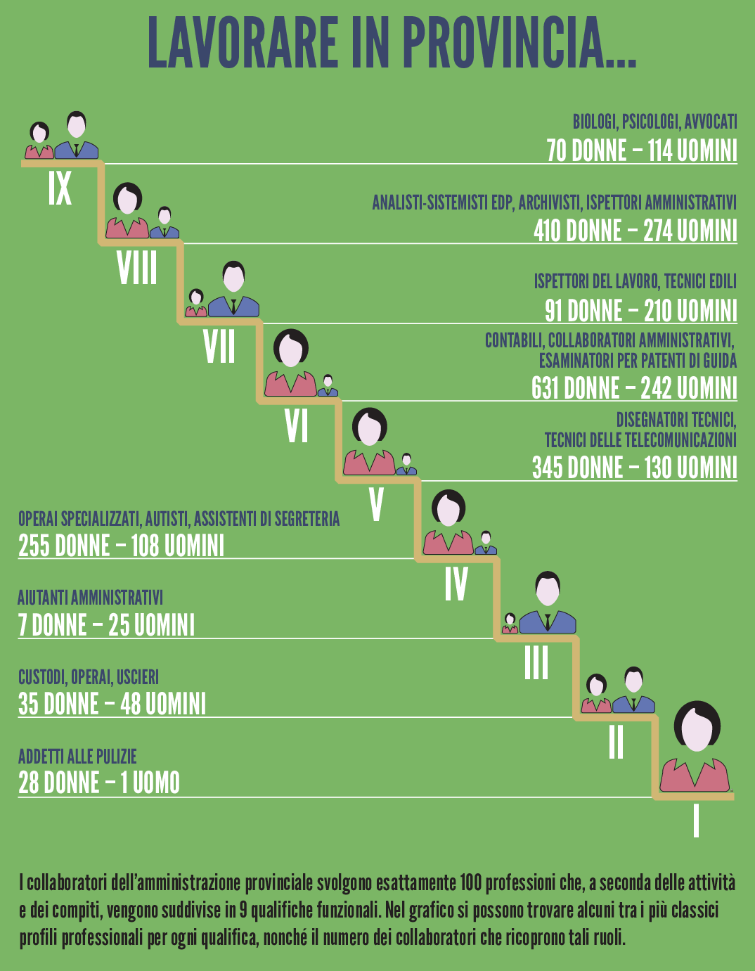 infografica sulle qualifiche funzionali