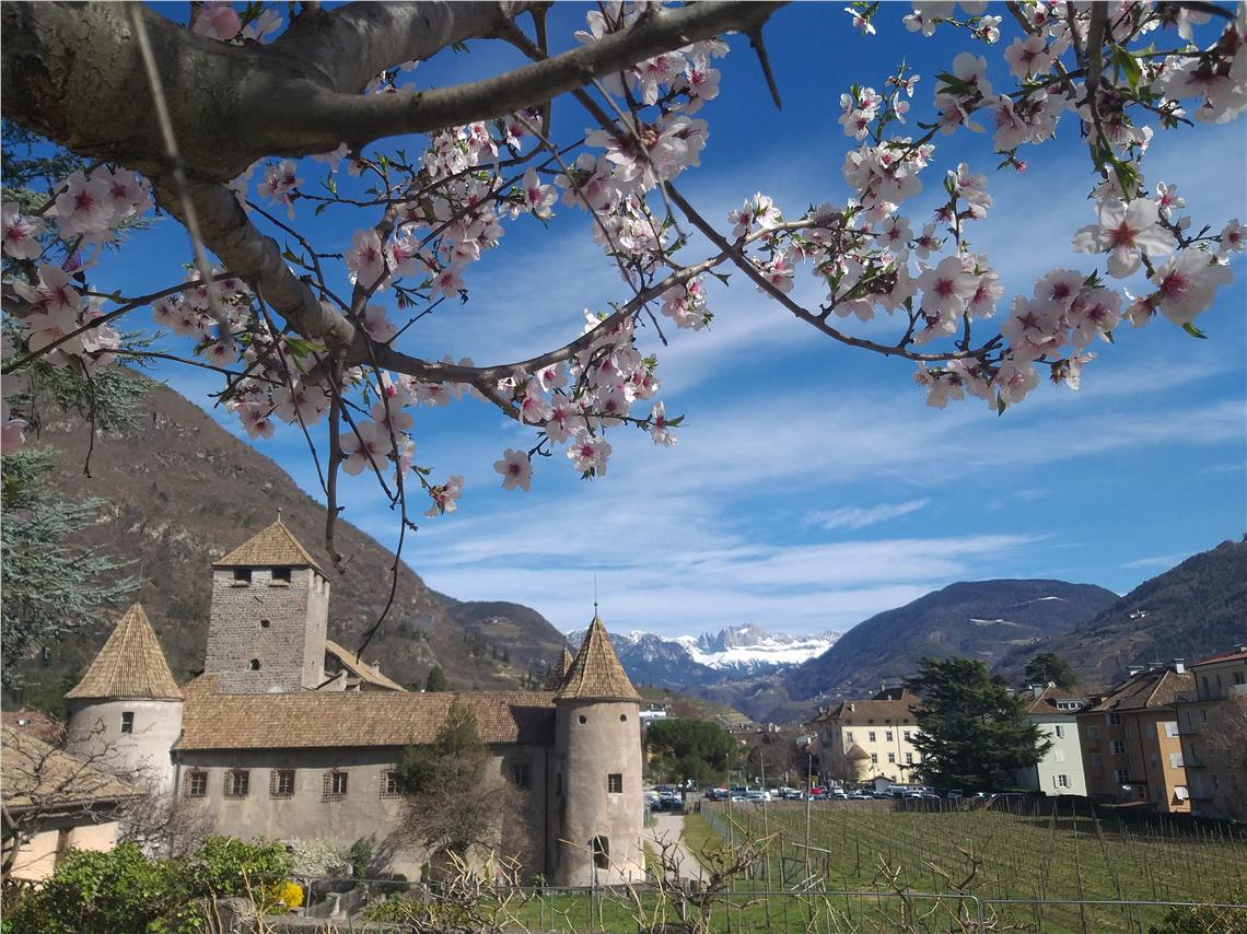News / Archivio | Giornata dell'Autonomia | Provincia