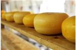 Aperte le iscrizioni al corso "La produzione del formaggio"