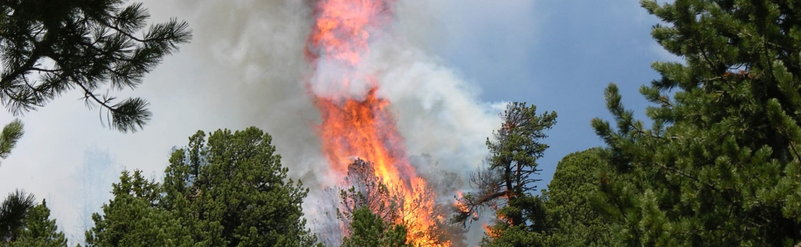 Bestimmungen zum Anzünden von Feuer im Wald