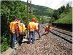 Ferrovie, assunzione di 10 operatori specializzati in Alto Adige