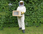Indumenti di protezione per interventi con api e vespe