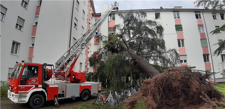 Intervento Via Sassari- Einsatz Sassaristrasse