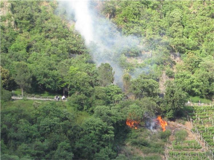 Elevato il pericolo di incendi boschivi