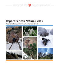 2019 Report Cover